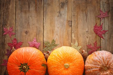 Kabaklar ve sonbahar yaprakları üzerinde ahşap arka plan. Şükran günü ve Cadılar Bayramı kavramı. Üstten Görünüm