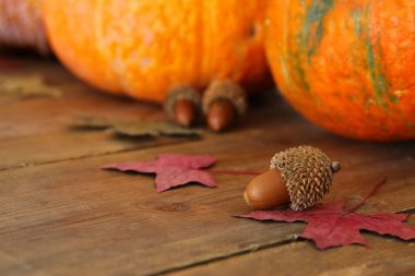 Kabaklar ve sonbahar yaprakları üzerinde ahşap arka plan. Şükran günü ve Cadılar Bayramı kavramı. Üstten Görünüm