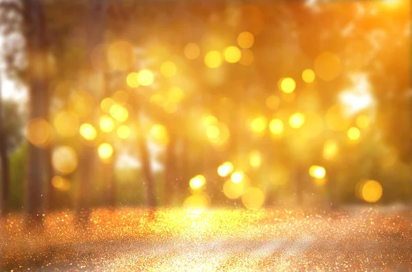 Blurred abstract photo of light burst among trees and glitter bokeh lights. filtered image and textured — Stock Photo, Image