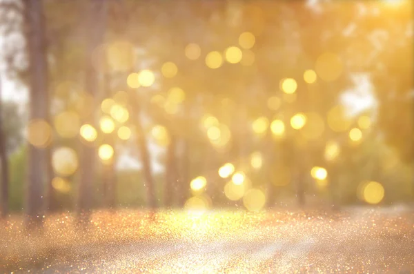 Blurred abstract photo of light burst among trees and glitter bokeh lights. filtered image and textured — Stock Photo, Image