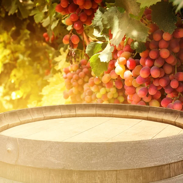 Imagem de barril de vinho de carvalho velho na frente da paisagem quintal do vinho. Útil para montagem de exibição de produto — Fotografia de Stock
