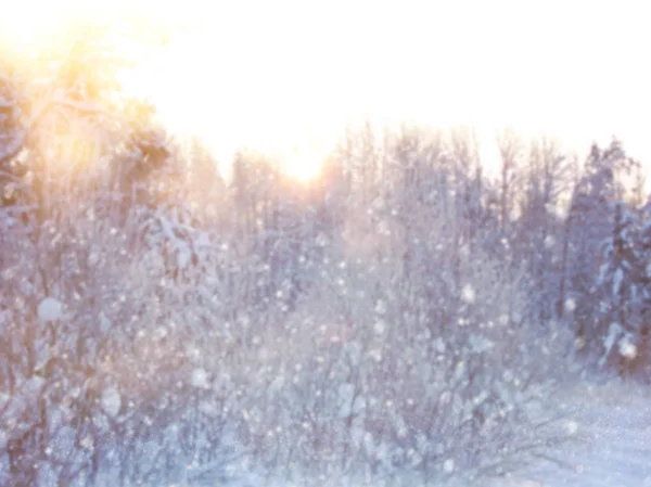 Rozmazané a abstraktní kouzelný zimní krajiny fotografie. Glitter překrytí. — Stock fotografie