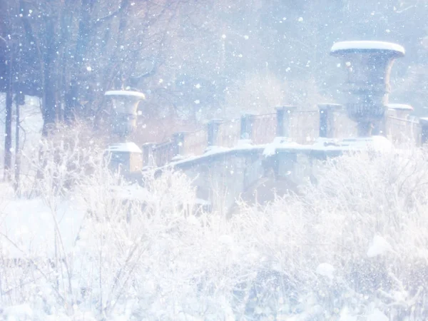 Розмиті та абстрактні магічні зимові пейзажні фотографії. Блиск накладання . — стокове фото