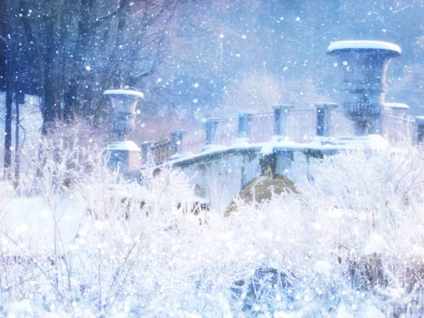 Blurry and abstract magical winter landscape photo. Glitter overlay. — Stock Photo, Image