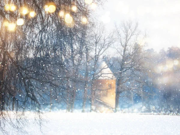 Photo floue et abstraite du paysage hivernal magique. Superposition de paillettes . — Photo