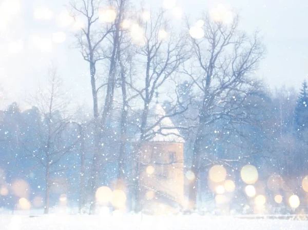 Rozmazané a abstraktní kouzelný zimní krajiny fotografie. Glitter překrytí. — Stock fotografie