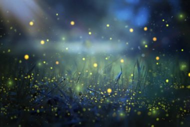Abstract and magical image of Firefly flying in the night forest. Fairy tale concept. clipart