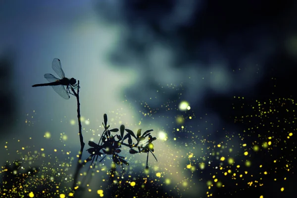Абстрактное и волшебное изображение силуэта стрекозы и светлячка, летящего в ночном лесу. Концепция сказки . — стоковое фото