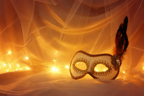 Image of elegant venetian, mask over tulle background. — Stock Photo, Image