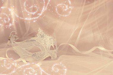 Narin ve zarif beyaz Venedik Maske tül arka plan önünde görüntüsünü.