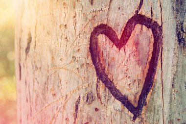 Eski ağaç gövdesi üzerinde oyulmuş kalp ile fotoğraf. Sevgililer günü kavramı. Romantik arka plan.