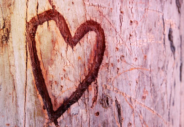 Φωτογραφία από παλιό κορμό δέντρου με καρδιά σκαλισμένα σε αυτό. Ημέρα του Αγίου Βαλεντίνου έννοια. Ρομαντικό υπόβαθρο. — Φωτογραφία Αρχείου