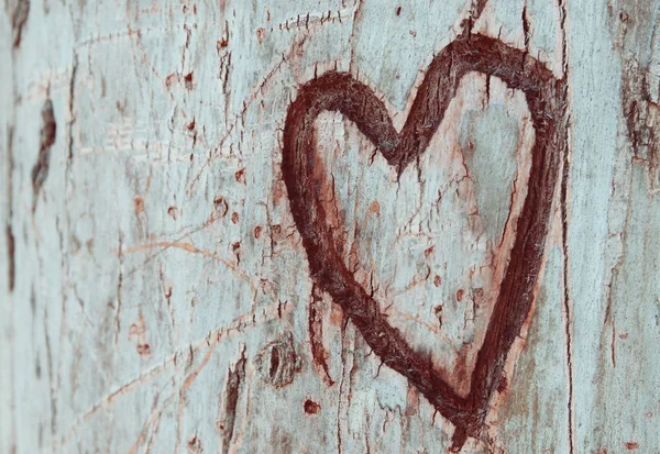 Foto eines alten Baumstammes mit darauf geschnitztem Herz. Valentinstag-Konzept. romantischer Hintergrund. — Stockfoto