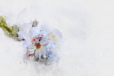 suluboya stil ve vintage beyaz kiraz ağacının soyut resim.