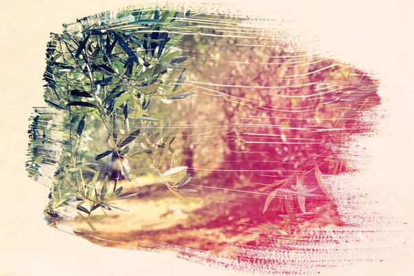 森林的梦幻般抽象的形象。水彩笔触纹理对双曝光效果的影响. — 图库照片
