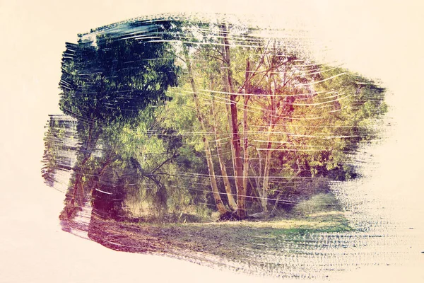 Imagen soñadora y abstracta del bosque. efecto de doble exposición con textura de trazo de pincel de acuarela . —  Fotos de Stock