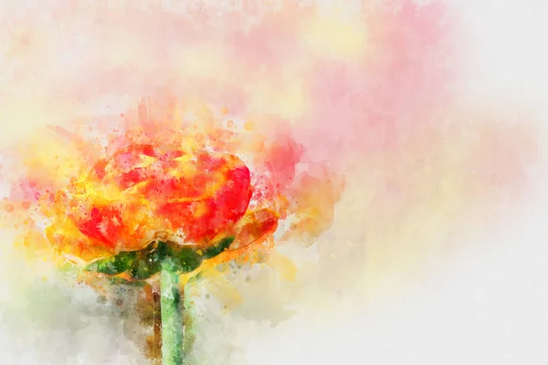 Aquarell-Stil und abstraktes Bild von Frühlingsblumen — Stockfoto