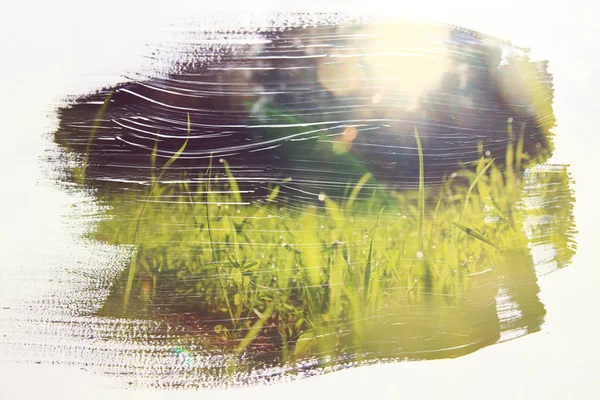 Imagem do prado com grama jovem verde. efeito de exposição dupla com textura de pincel de aquarela — Fotografia de Stock