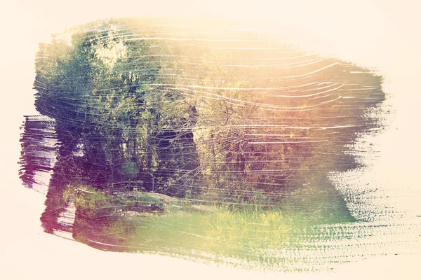 Imagem sonhadora e abstrata da floresta. efeito de exposição dupla com textura de pincel de aquarela . — Fotografia de Stock