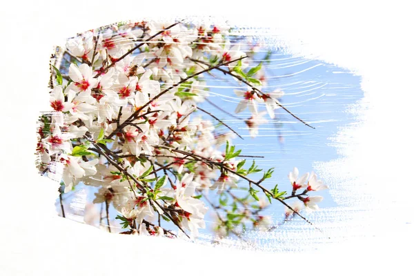 Immagine sognante e astratta di ciliegio. effetto di doppia esposizione — Foto Stock