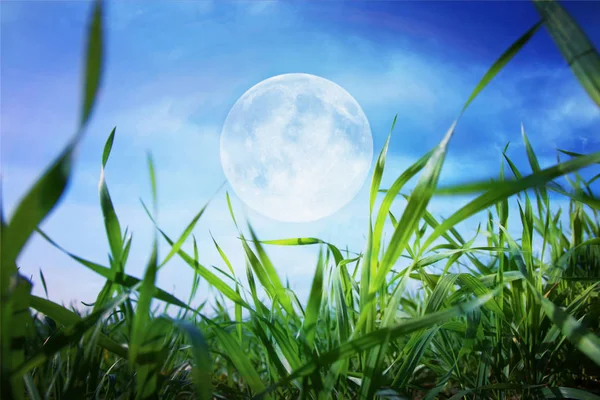 Koncepcja surrealistyczne fantasy - Pełnia księżyca z brokatem gwiazdki na niebie — Zdjęcie stockowe