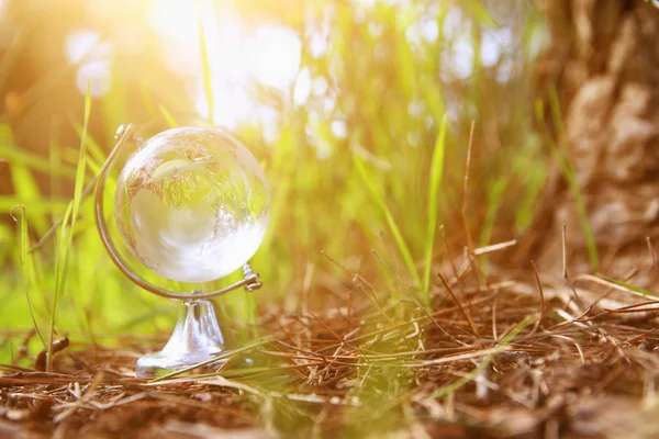 Petit globe de cristal à angle bas dans l'herbe. concept de voyage et enjeux mondiaux . — Photo