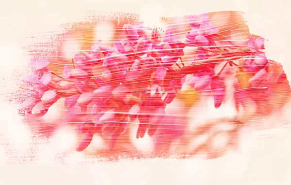 Verträumtes und abstraktes Bild von Kirschbaum. Doppelbelichtung mit Aquarell-Pinselstrich-Textur. — Stockfoto