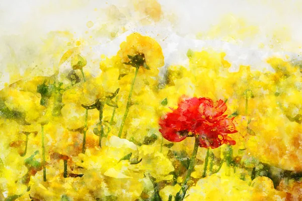 Estilo acuarela e imagen abstracta de las flores buttercup . —  Fotos de Stock