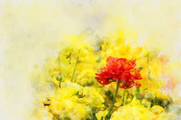 Akwarela styl i abstrakcyjny obraz kwiatów jaskier. — Zdjęcie stockowe