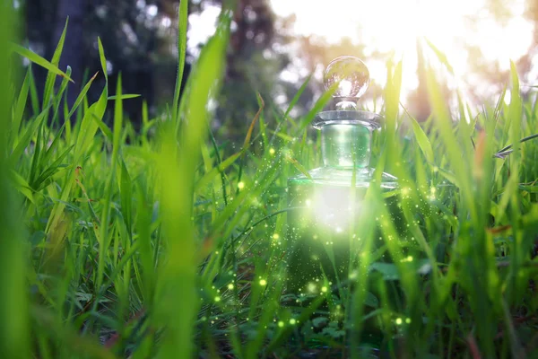 Magical fairy dust potion in bottle in the forest. — Stock Photo, Image