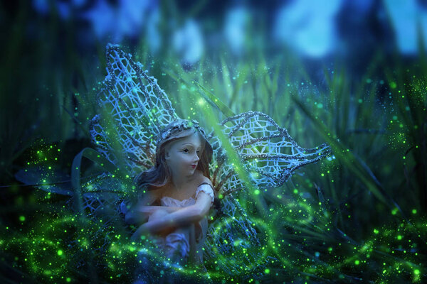 изображение волшебной маленькой феи, сидящей в ночном лесу
.