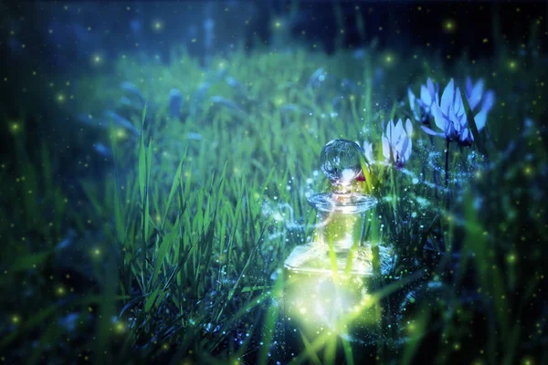 Magiczne Fairy Kurzu Eliksir Butelce Lesie — Zdjęcie stockowe