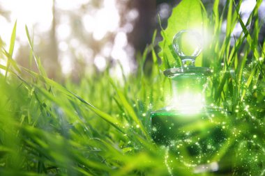 Sihirli peri tozu iksir ormandaki şişede.