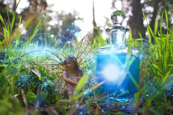 Зображення чарівної маленької феї, що сидить у лісі . — стокове фото