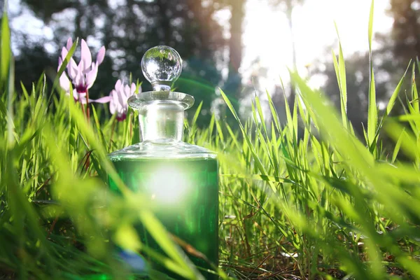 Garrafa com poção verde mágica na floresta à luz do sol . — Fotografia de Stock