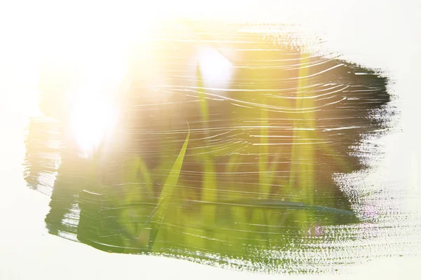 Afbeelding van de weide met groen jonge gras. dubbele blootstelling effect met aquarel borstel beroerte textuur — Stockfoto