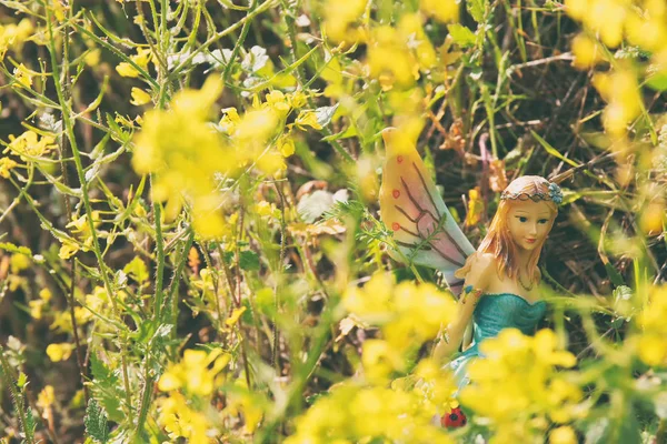 Image de petite fée magique dans la forêt . — Photo