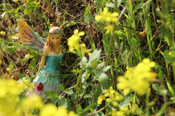 Зображення чарівної маленької феї в лісі . — стокове фото