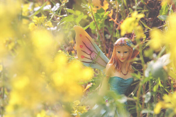 образ волшебной маленькой сказки в лесу
.