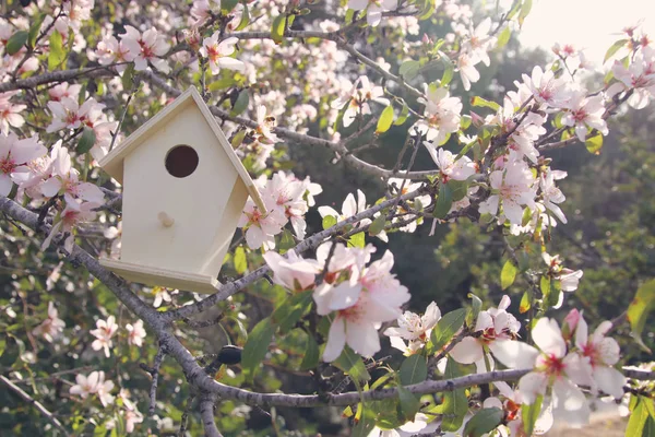 Tavasszal több mint blossom cherry tree kis birdhouse. — Stock Fotó