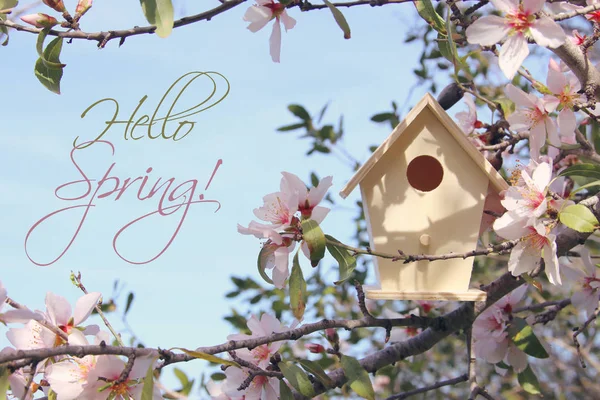 Trochę birdhouse wiosną nad drzewo kwiat wiśni. — Zdjęcie stockowe