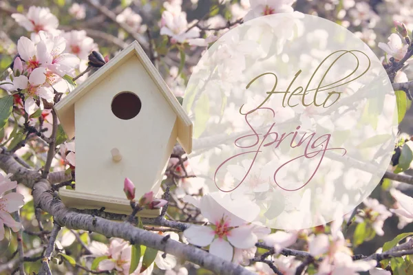 Weinig birdhouse in het voorjaar over kersen bloesem boom. — Stockfoto