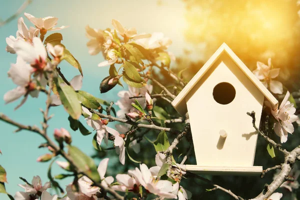 Pequeño pajarito en primavera sobre cerezo en flor . — Foto de Stock