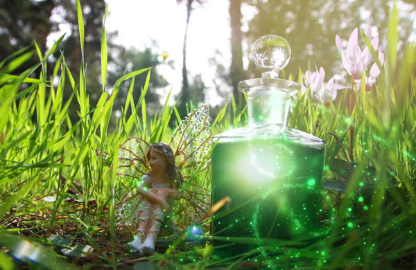 Afbeelding van magische kleine fee zit in het bos. — Stockfoto