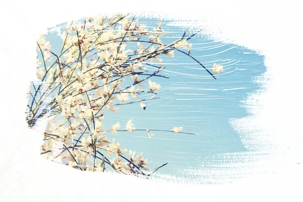 Reamy and abstract image of white flowers. double exposure effec — Stock Photo, Image