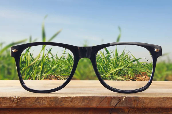 Hipster glasögon på ett rustikt träbord framför fältet. — Stockfoto