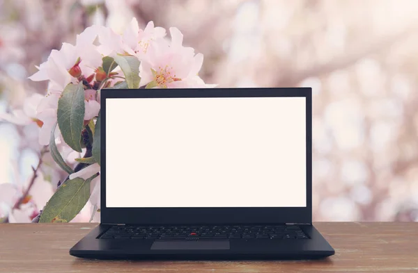 Imagem de exterior com laptop aberto e tela branca vazia para espaço de cópia . — Fotografia de Stock