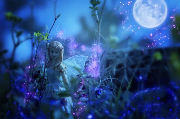 Зображення чарівної маленької феї в нічному лісі . — стокове фото