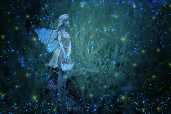 Образ волшебной маленькой сказки в ночном лесу . — стоковое фото