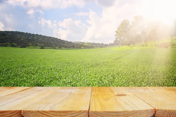 Leerer rustikaler Tisch vor ländlichem Hintergrund. Produktpräsentation und Picknickkonzept. — Stockfoto